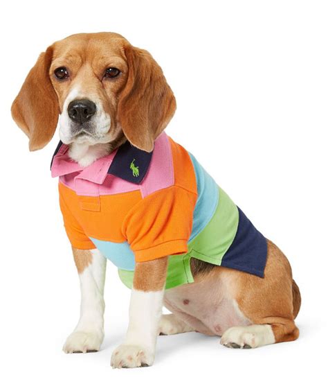 famous dog clothing designer